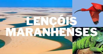 Eco-tourism in Brazil: Lençóis Maranhenses
