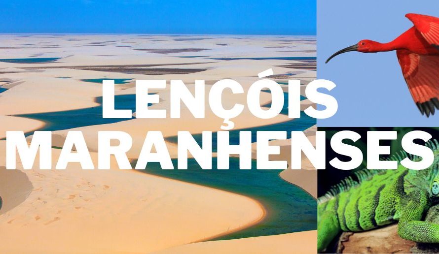 Eco-tourism in Brazil: Lençóis Maranhenses