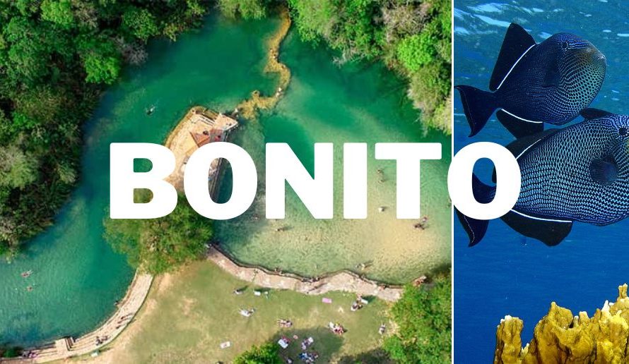 Eco-tourism in Brazil: Bonito