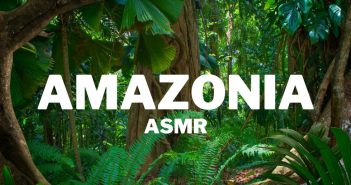 Eco-tourism in Brazil- Amazonia ASMR