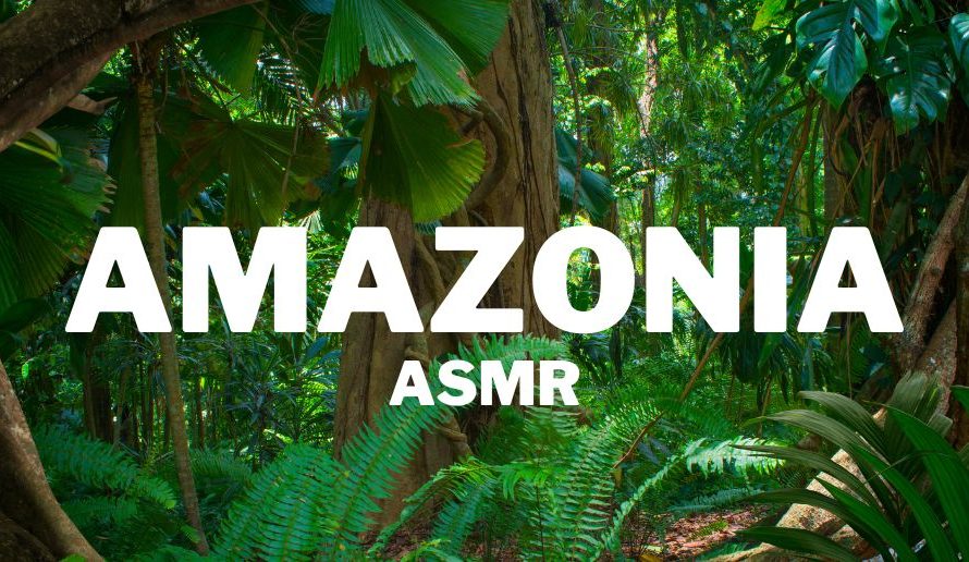 Eco-tourism in Brazil- Amazonia ASMR