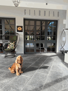 Dog at one entrance of Hotel Giardino Ascona