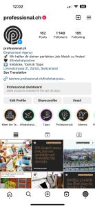 Instagram Profil von professional.ch