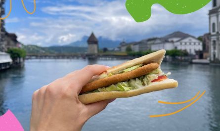 Vegetarian Schnitzel Sandwich with Lucerne on background