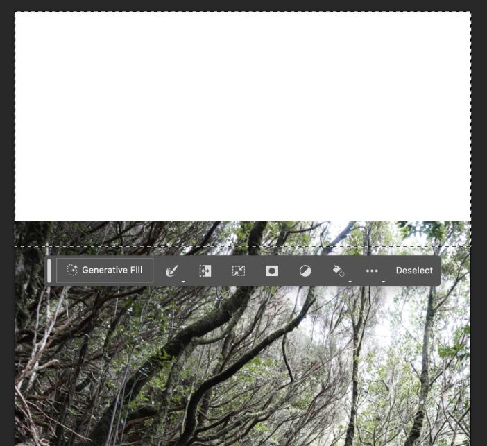 screenshot of the Photoshop Beta interface showing a selection of an image with trees
