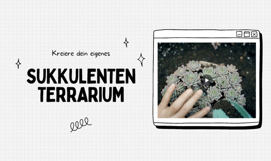 DIY: Kreiere dein eigenes Sukkulenten-Terrarium