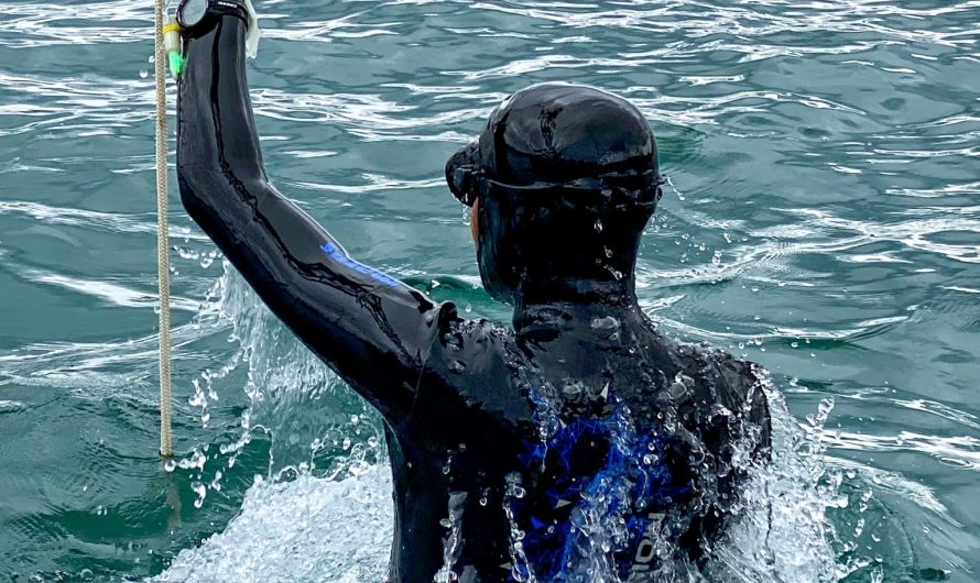 MantaCruz Dive Centre: In Freediving, Safety Comes First.