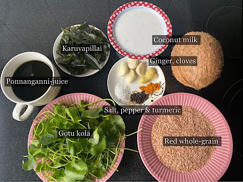 The ingredients of Kola Kenda (Vegan Porridge): Coconut milk, ginger, garlic cloves, salt, pepper, turmeric, red whole-grain, Gotu Kola, Ponnanganni juice, Curry leaves
