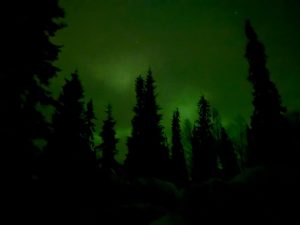Auroras in Finnish Lapland