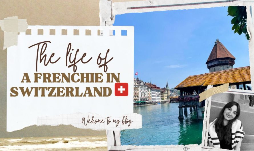 The life of a Frenchie in Switzerland – Welcome to my blog ????