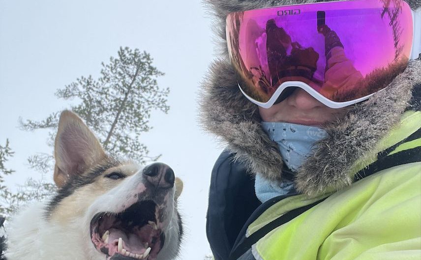 Meet the Sled Dog Stars: The Remarkable Companions of Our Arctic Mushing Adventure