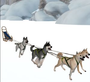 Visual depiction of a four-dog sled team