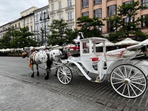 Carriage Rides through the City