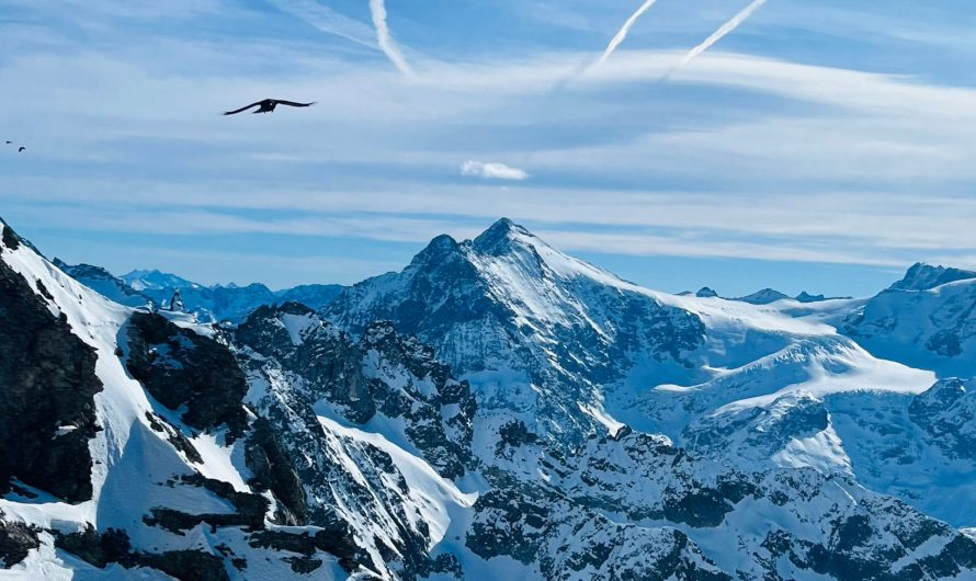 SwissDayTrip: Skiing, Glacier, Cliff Walk and Après-ski