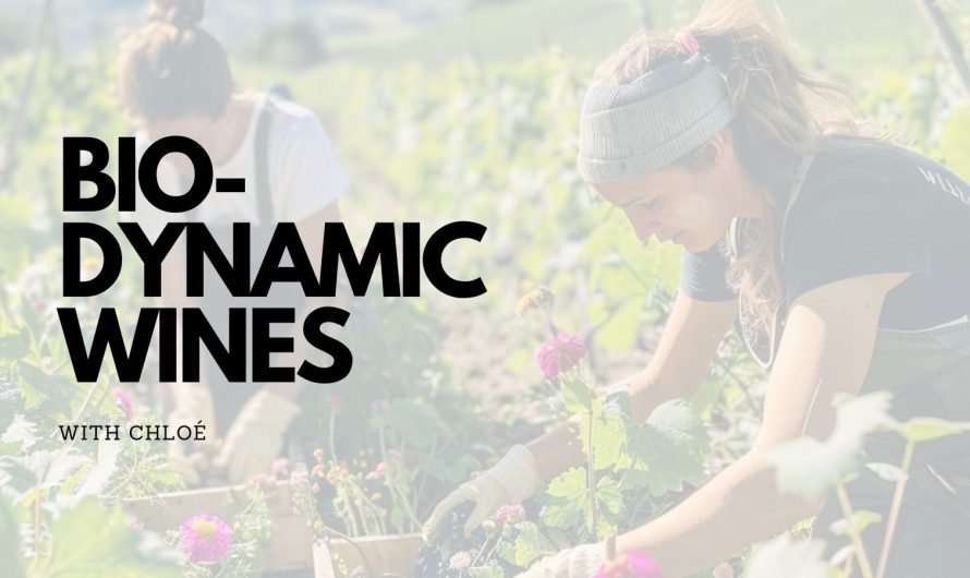 Biodynamic Wines: Beginner’s Guide to Decoding Their Meaning