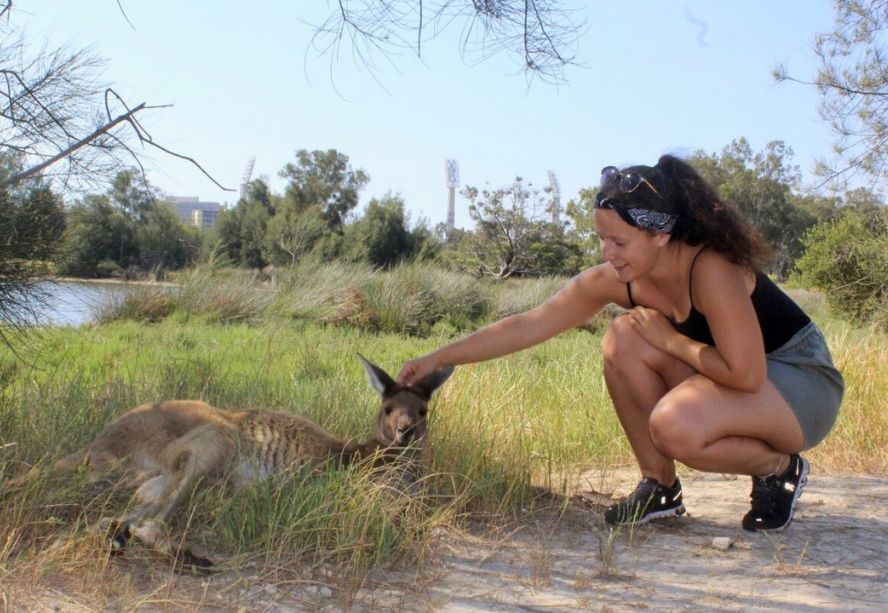A woman sitting next to a kangaroo in Perth, Australia
