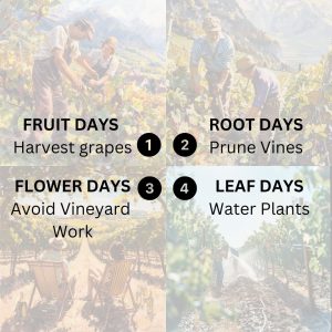 Each biodynamic calendar day coincides with one of the four classical elements of Earth, Fire, Air and Water that have been used since before Plato’s era.