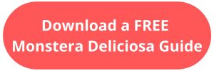Call-to-Action Button to download a Free Monstera Deliciosa Guide