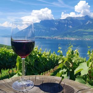 A glass of red wine in a Swiss Wineyard at the shore of a lake