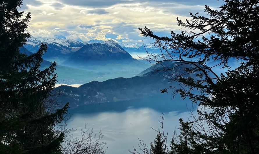 SwissDayTrip: Hike to Mount Rigi