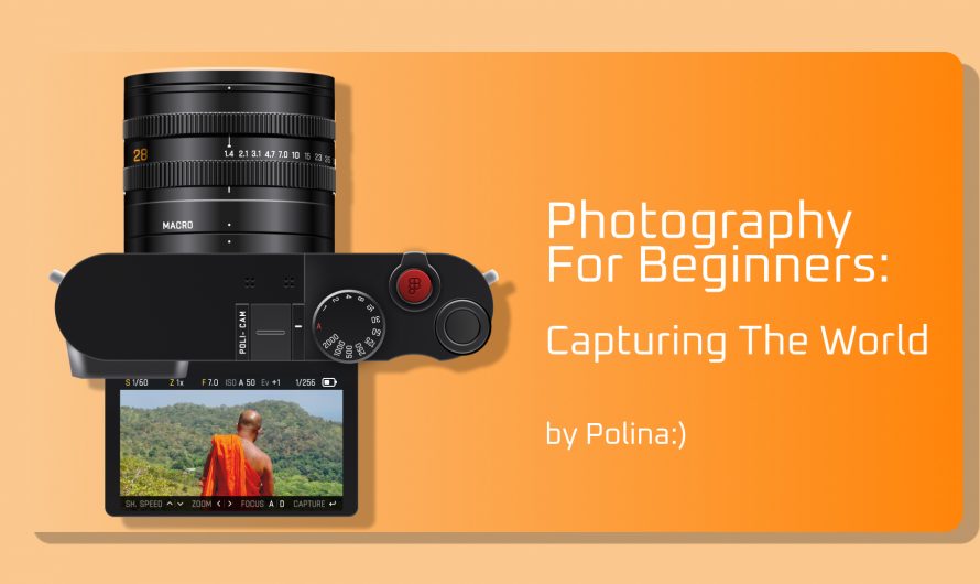 Photography for Beginners: Capturing the World