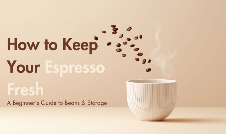 Espresso Freshness 101: A Beginner’s Guide to Beans and Proper Storage