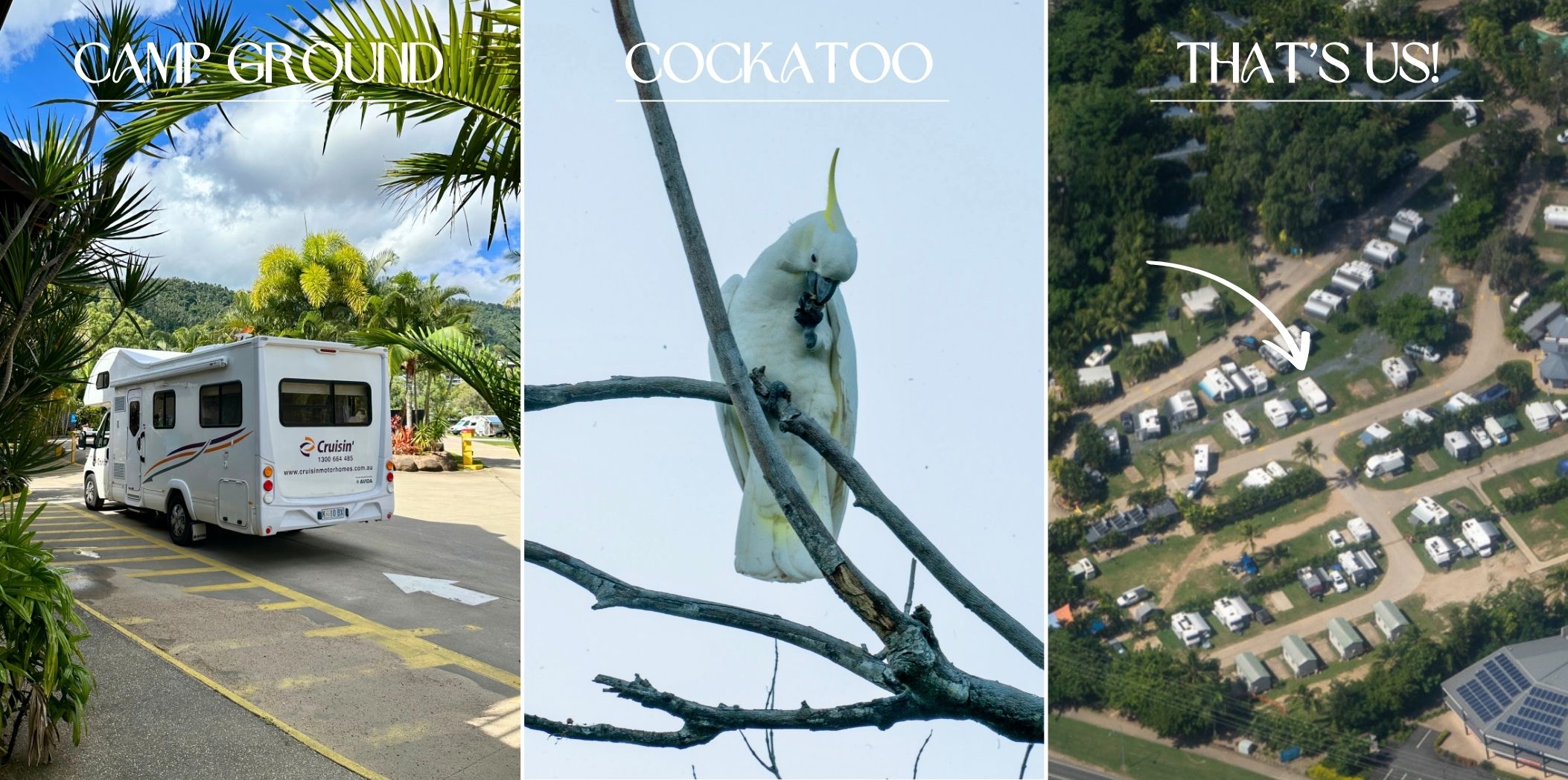 Down Under Diary Airlie Beach Campground
