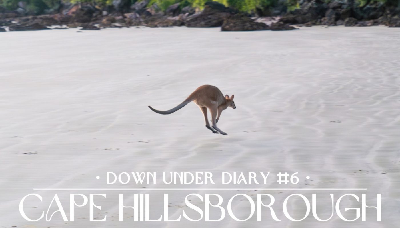 Down Under Diary Cape Hillsborough Header