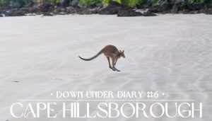 Down Under Diary Cape Hillsborough Header