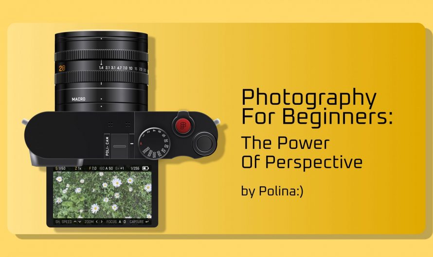 Photography for Beginners: The Power of Perspective