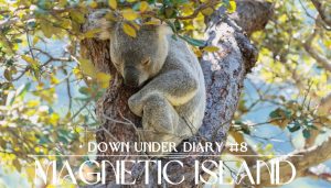 Down Under Diary Magnetic Island Header