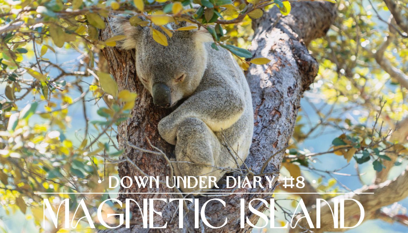 Down Under Diary Magnetic Island Header