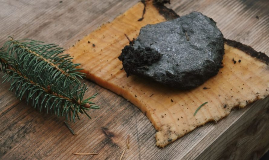 Walking as Pausing: How can we end a semester with a deep reflection?