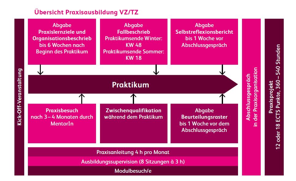 Praktikum VZ | TZ – Plattform Praxisausbildung – Bachelor Soziale Arbeit